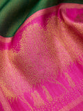 Orchard Border in Bottle Green & Electric Pink