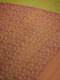 Dark Plum and Green Rising Border