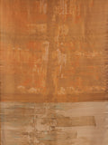 Urban Tapestry in Gold Zari