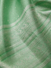 Galaxy Saree in Sage