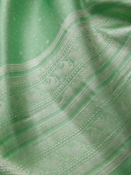 Galaxy Saree in Sage