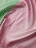 Galaxy Saree in Sage