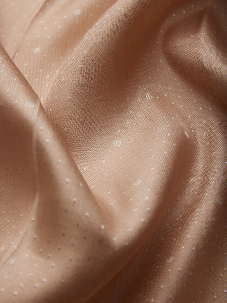 Galaxy Saree in Ivory