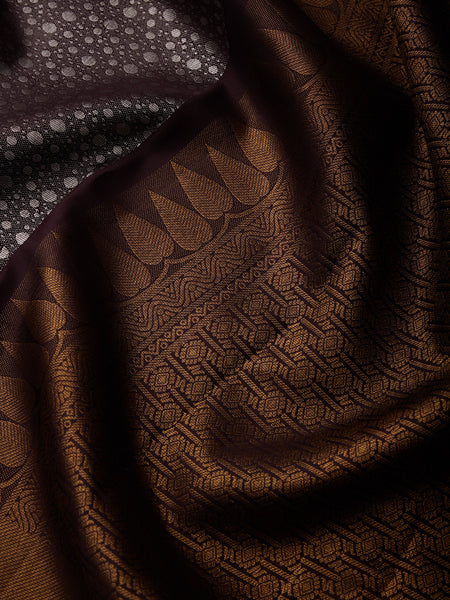 Floral Vine Border in Graphite Brown