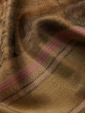 Wild West in Silver & Gold Zari