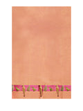Birds on the Border Silk Saree in Pink