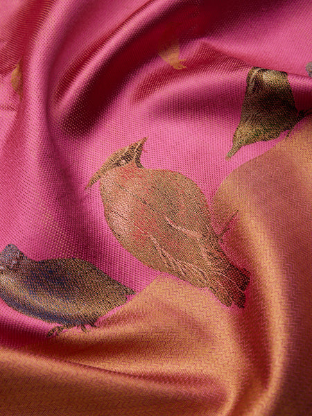 Birds on the Border Silk Saree in Pink