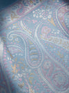 Rainbow Persian Border in Powder Blue
