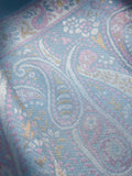 Rainbow Persian Border in Powder Blue