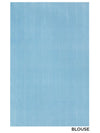 Leaf Border in Pastel Blue & Silver Zari