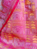Hawa Mahal Silk Saree Wes Anderson Inspired