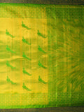 The Dual Pallu in Pear