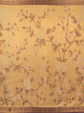 Blossoms in Antique Zari Border.